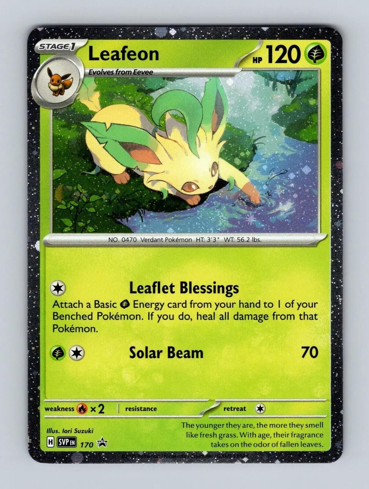 Leafeon #170