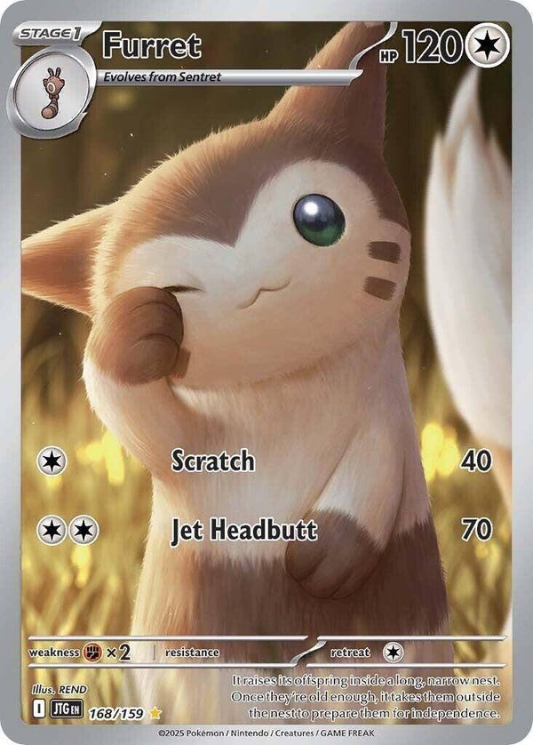 Furret #168