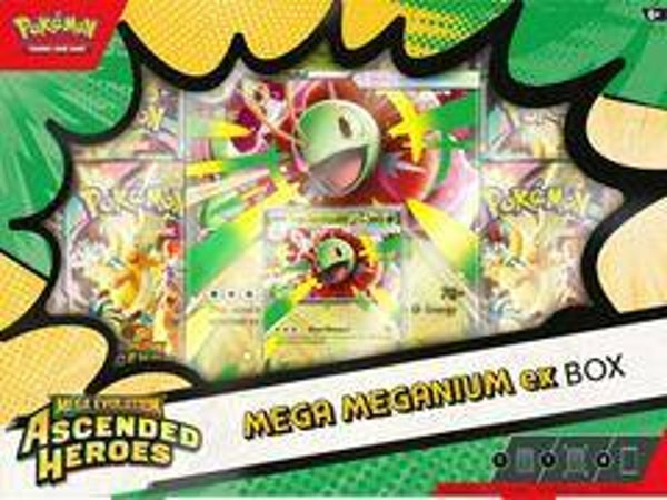 Ascended Hero's Mega Meganium ex Box