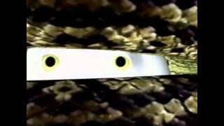 Watch-movies-online TV-shows-online Stream-horror-movies-online Stream-comedy-movies-online Stream-thriller-movies-online Stream-action-movies-online Stream-drama-movies-online Stream-family-movies-online Stream-sci-fi-movies-online Stream-classic-era
