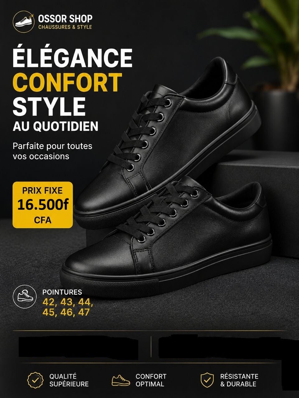 Chaussure elegantes