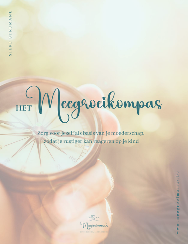 Het Meegroeikompas (e-book)