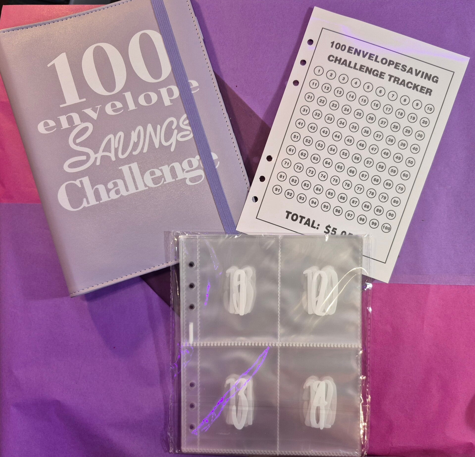 100 Envelope Savings Binder