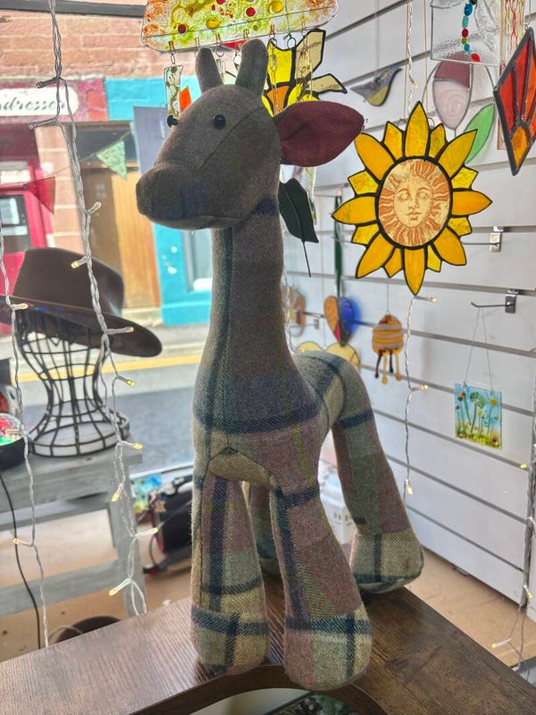 Tall giraffe