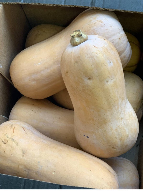 Courge butternut – Douce, fondante et idéale pour l’automne !
