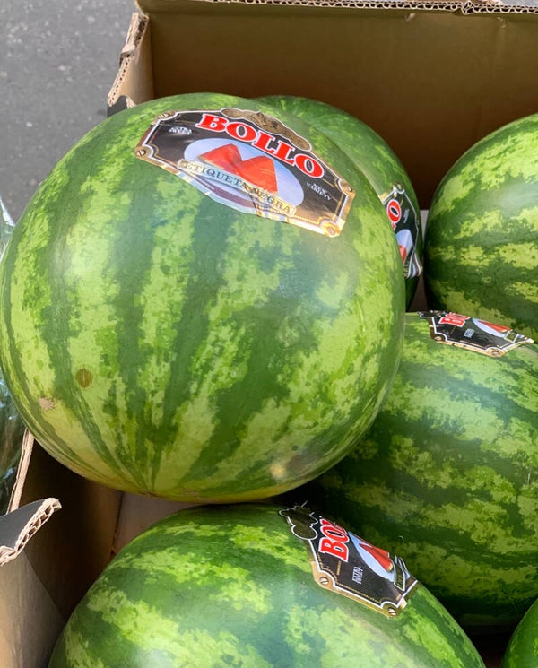 Pastèque “Bollo” – Ultra juteuse, sucrée et rafraîchissante !