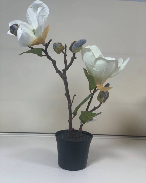Plante artificielle en pot – Fleurs blanches type magnolia