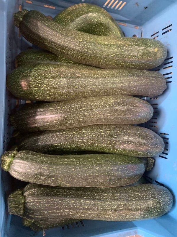 Courgettes