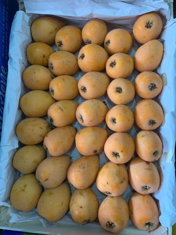 Nèfles (ou bibasses)