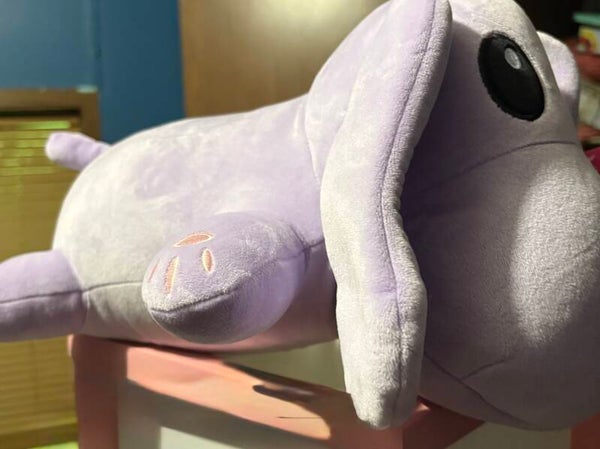 Weighted stuffy