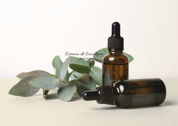 Aceite Esencial de Eucalipto