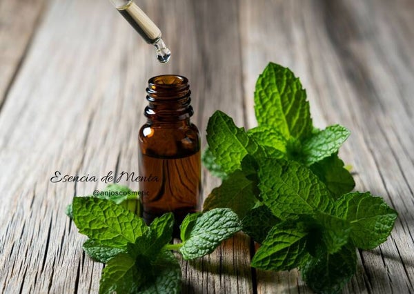 Esencia de Menta