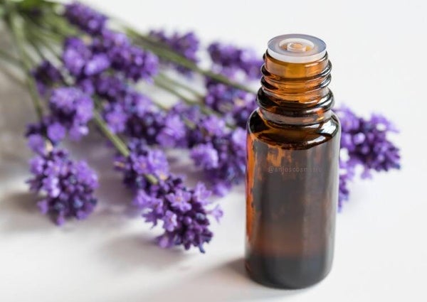 Fragancia Lavanda