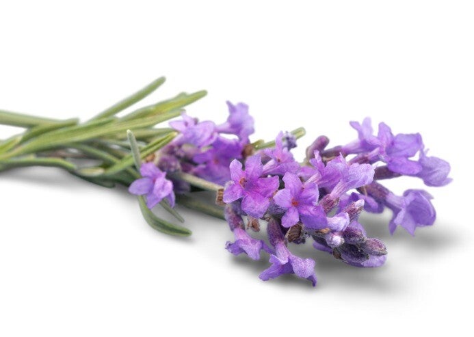 Aroma Lavanda