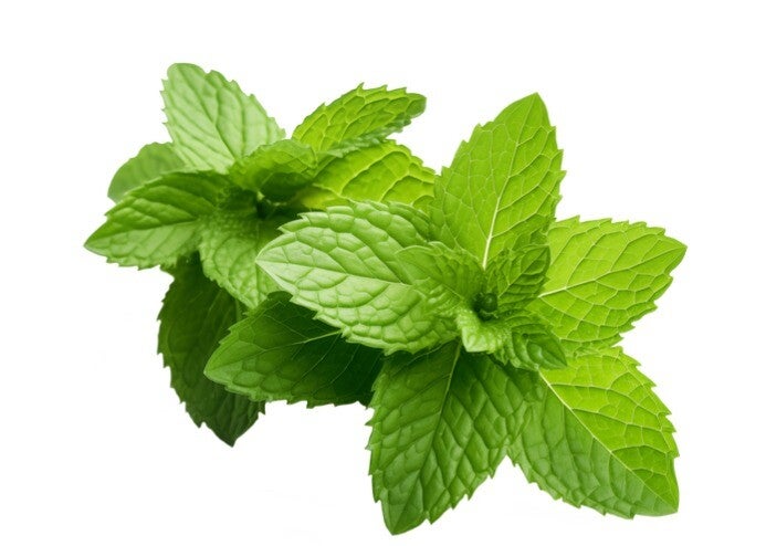 Aroma Menta Fresca