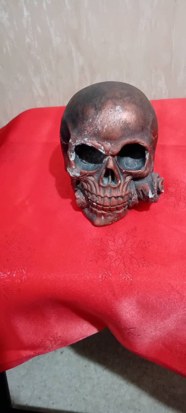 Cement Skull With A Rose In Its Mouth. Uk Postage Only
