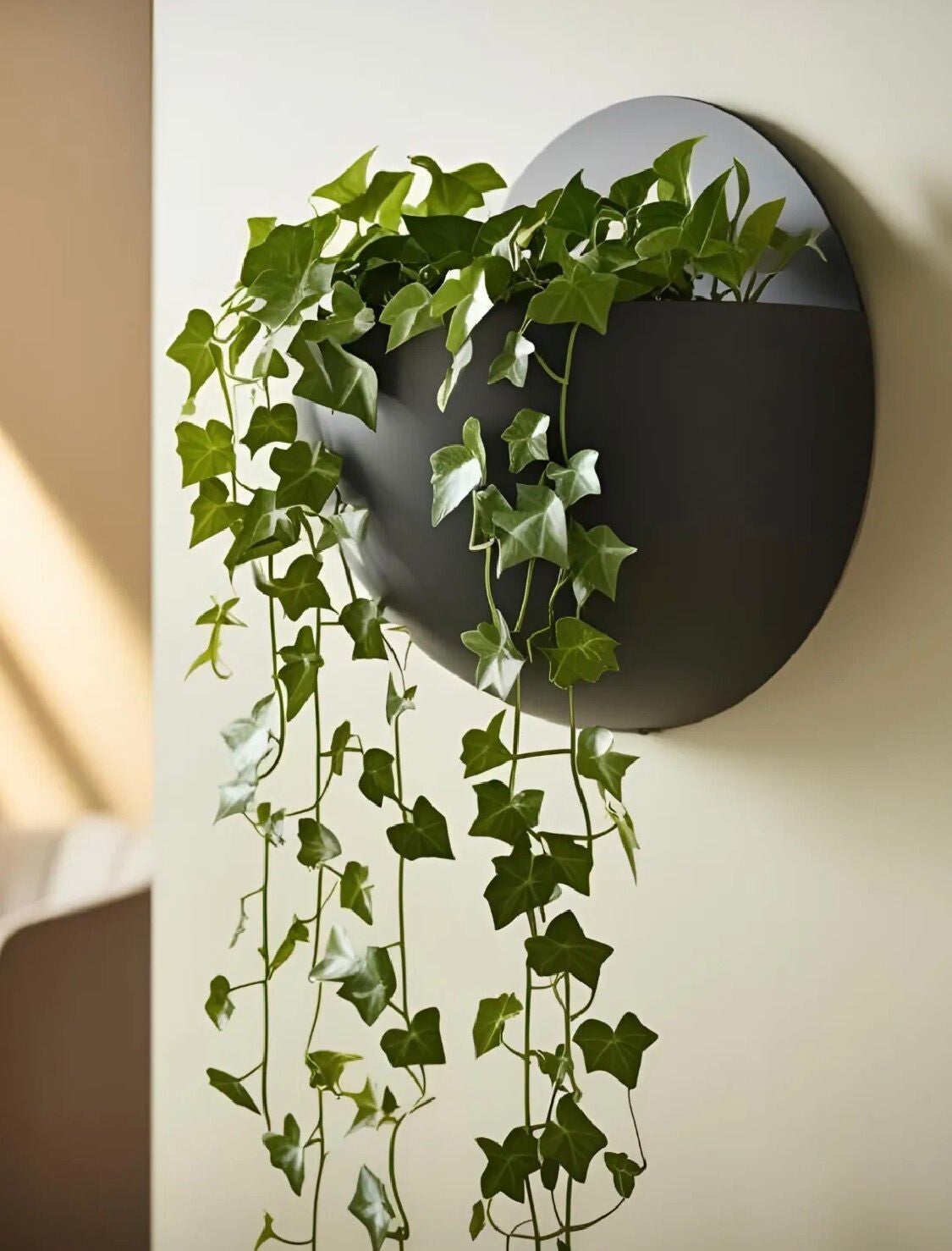 Wandplantenbak 'Luna'