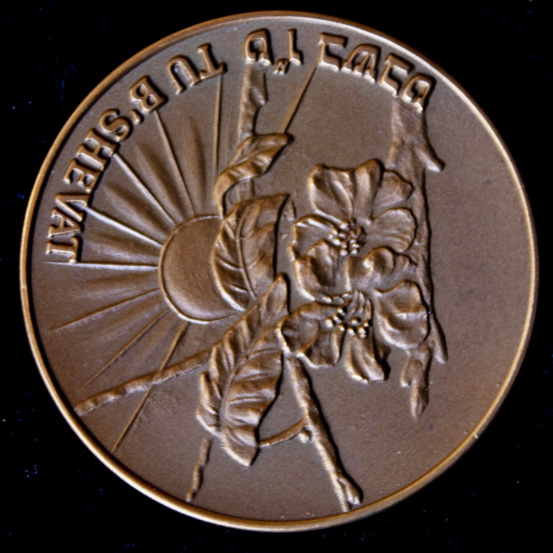 B’Shevat State Medal, 1994 number 0333 in bronze / tombac