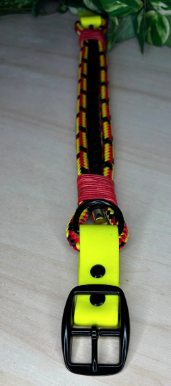 Hundehalsband Pottglut mit Rosegold oder Alt-Messing Beschlägen