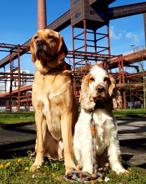 Muffin und Fiete auf Zeche Zollverein