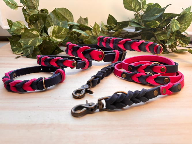 Hundehalsband und Leine Set von Ruhrpawt