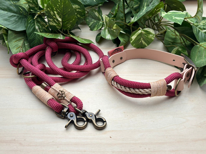 Hundehalsband und Leine aus PPM-Seil von Ruhrpawt Essen