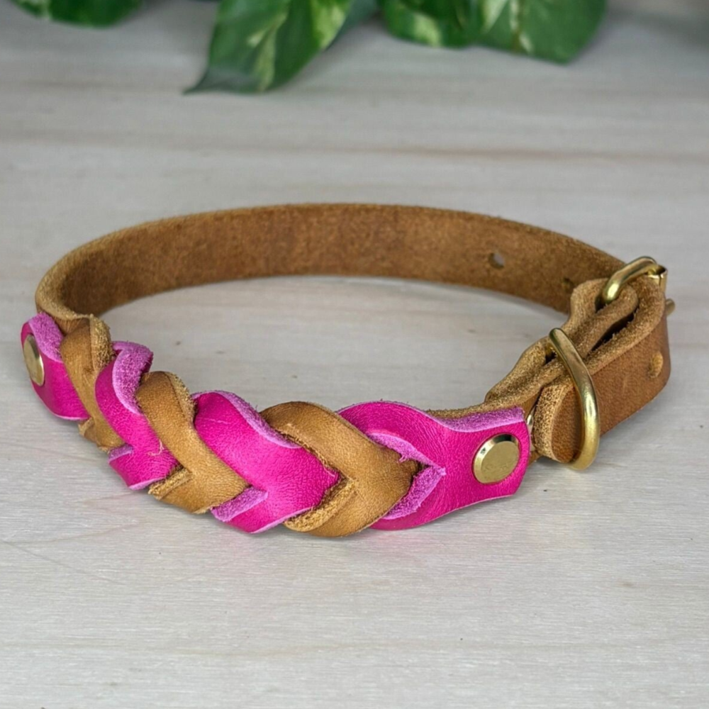 Fettlederhalsband "Rheinwelle"