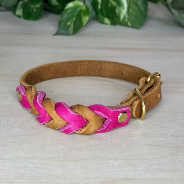 Fettleder-Halsband "Baldeneywelle"