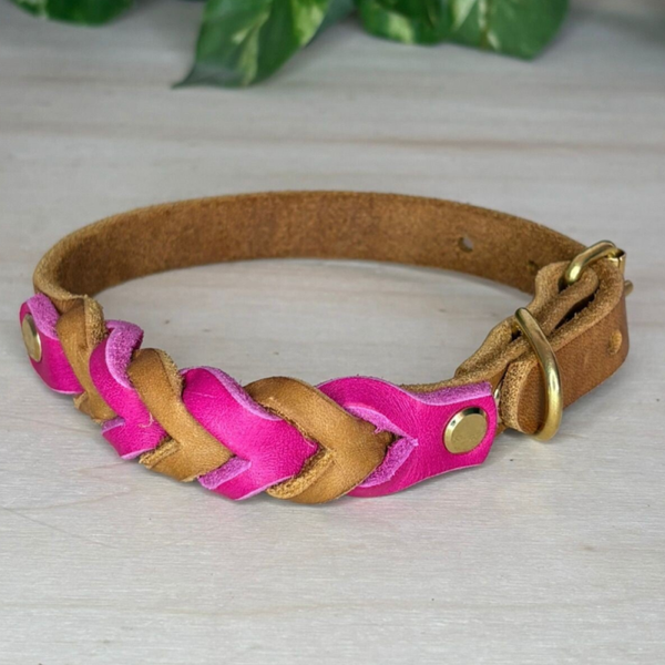 Fettlederhalsband "Rheinwelle"