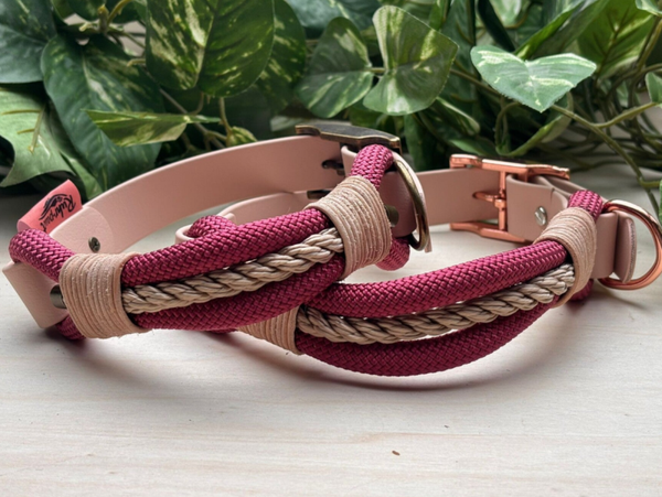 Hundehalsband Pottglut ab 30 cm Halsumfang