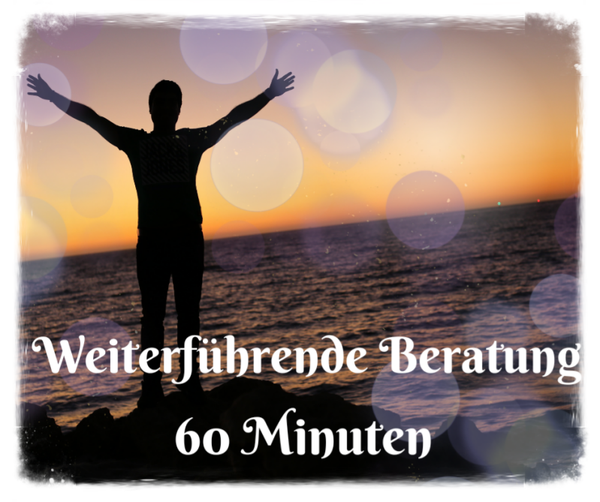 Weiterführende Beratung 60 Min