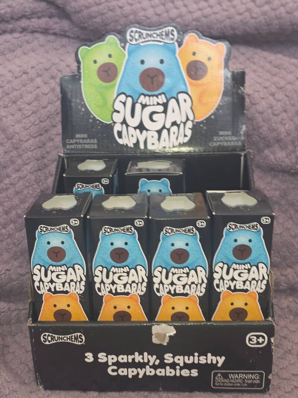 Scrunchems capybara 3 pack