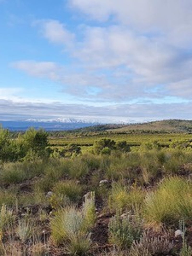 Valoraciones Inmobiliarias Oficiales en Marines