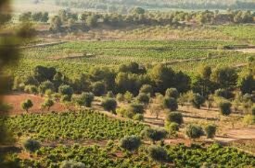 Valoraciones Inmobiliarias Oficiales en Utiel