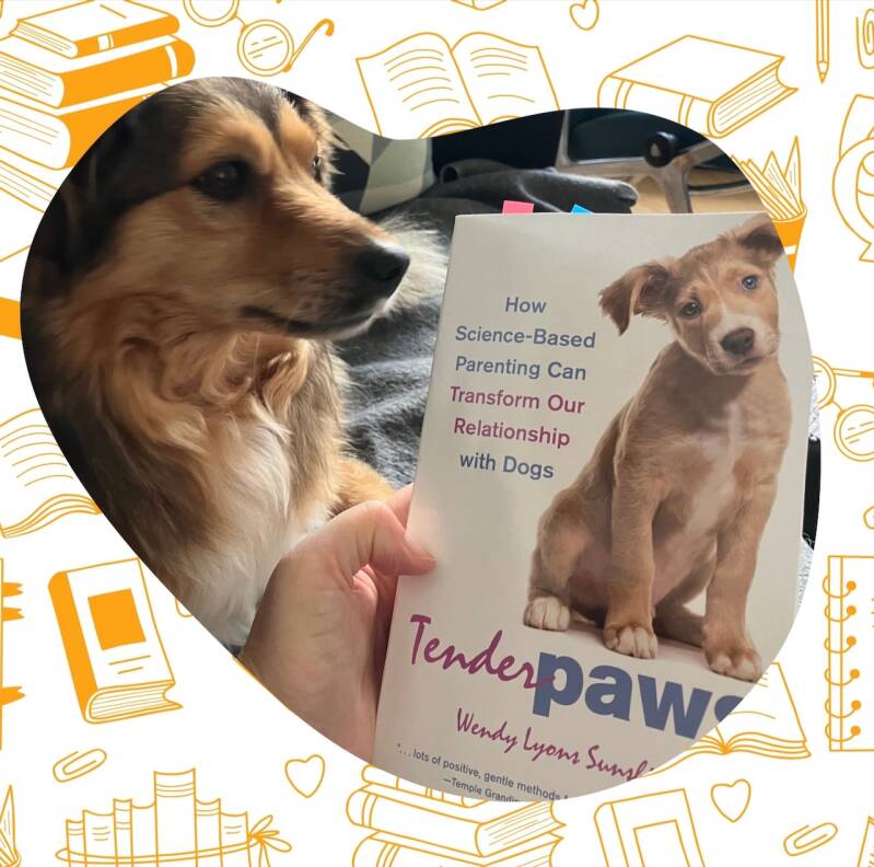 Furry Fellows_Buchtipp Tender Paws