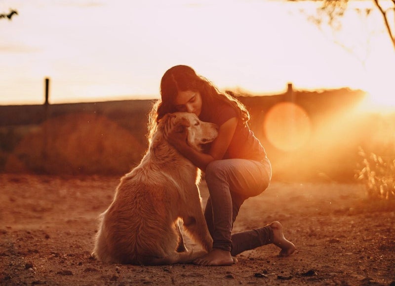 Der Hund als bester Freund des Menschen.