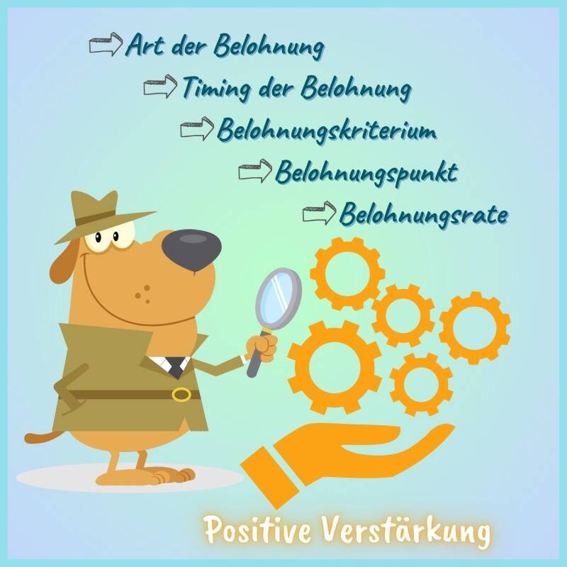 Furry Fellows_Belohnungen im Hundetraining effektiv einsetzen