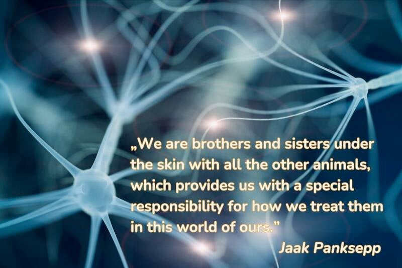 Furry Fellows_Jaak Panksepp