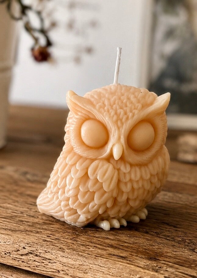 Bougie Artisanale "Hibou"