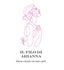 IL FILO DI ARIANNA ESTETICA AVANZATA