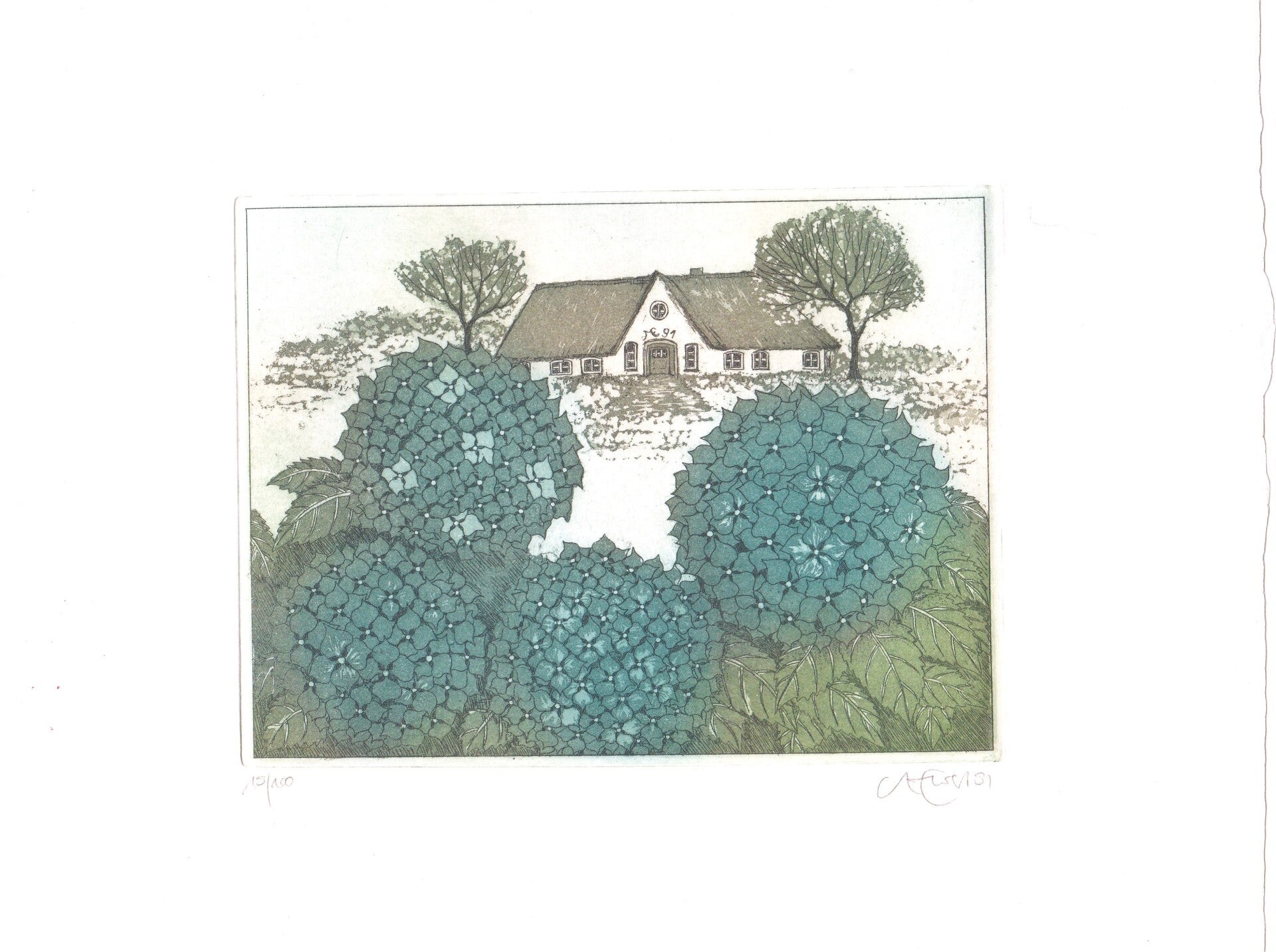 MARGRIT EWERT - FARBRADIERUNG - HANDSIG. + NUMMERIERT 15/100 + DATIERT `89