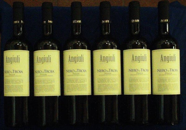 NERO DI TROJA IGP - 2024 - PUGLIA - 6 FLASCHEN