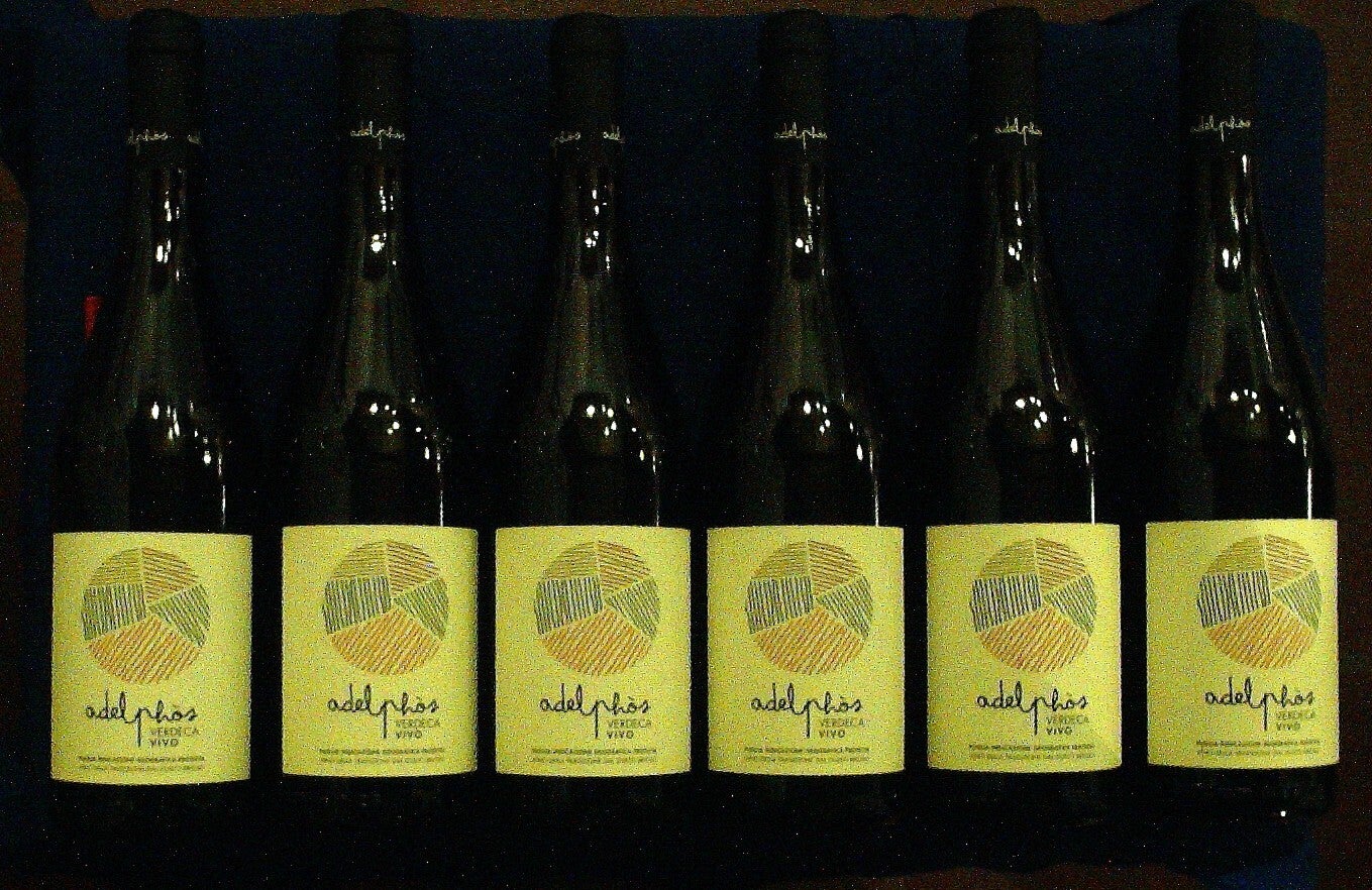 VERDECA VIVO IGP 2025 - PUGLIA - AMABILE - 6 FLASCHEN