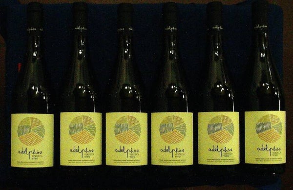 VERDECA VIVO IGP 2025 - PUGLIA - AMABILE - 6 FLASCHEN