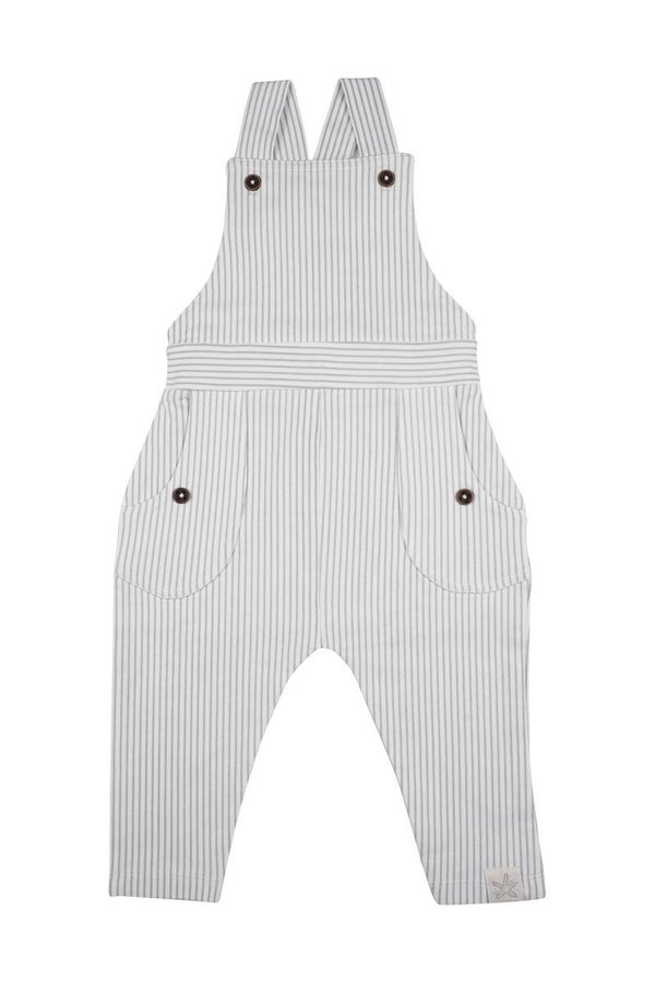Dungaree Stripes