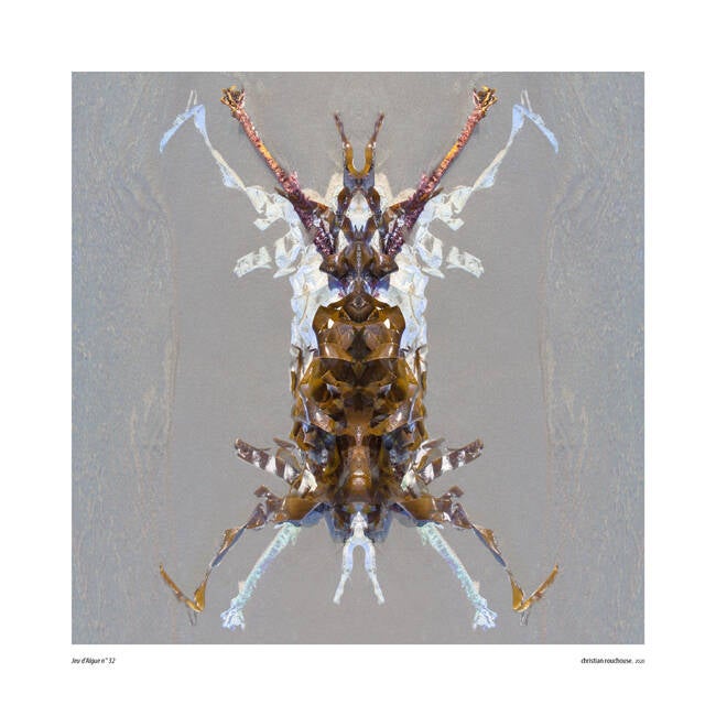 Jeu d&#039;Algues 32