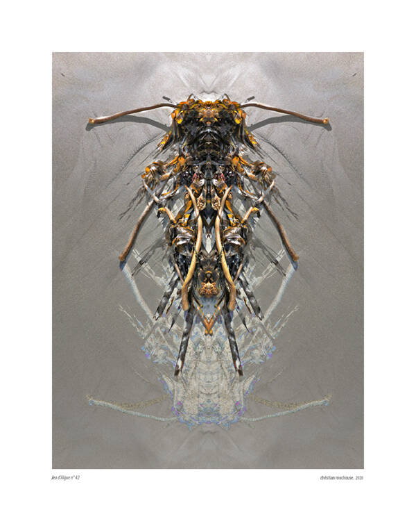 Jeu d&#039;Algues 42