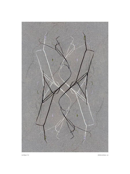 Jeu d&#039;Algues 56