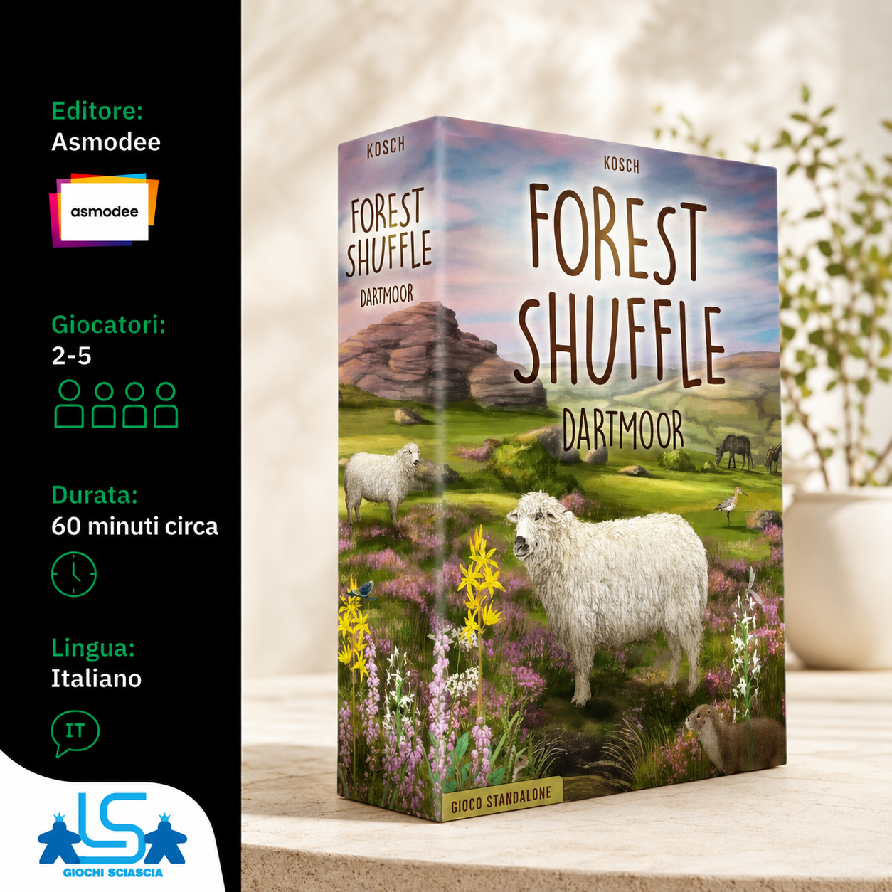 Forest Shuffle - Dartmoor