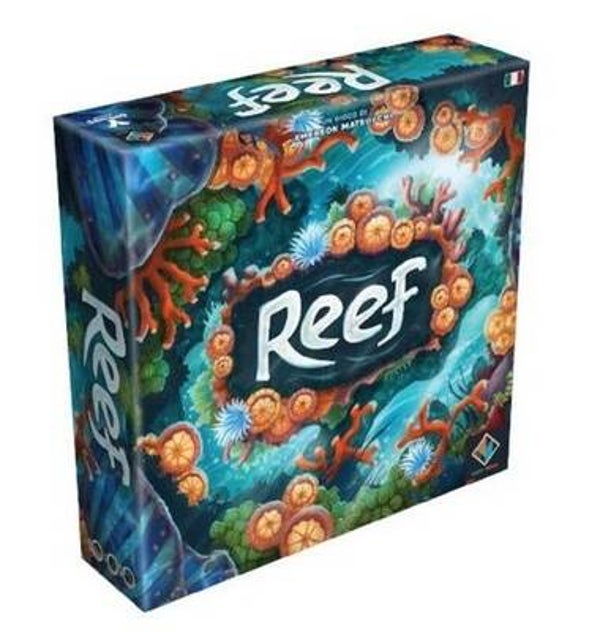 Reef - italiano - USATO